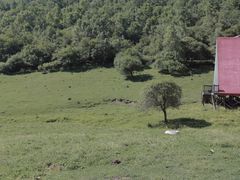 -关山草原