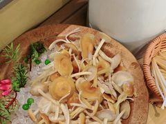 -季季山·云南野生菌火锅(上海首店)