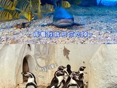 -太平洋海底世界