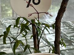 -% Arabica阿拉比卡咖啡(罗湖万象城店)