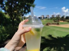 -海南鉴湖蓝湾高尔夫球会