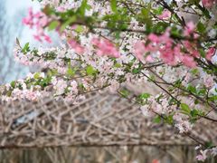 -武汉紫薇都市田园