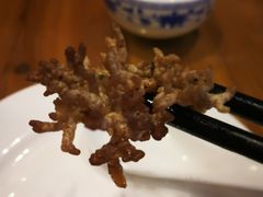 猫爪菇-悠悠美食