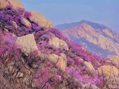 -北京凤凰岭