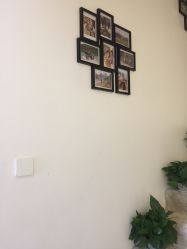 -酉嘉瑜伽YO+YOGA