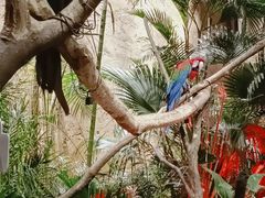 -杭州开元森泊度假乐园