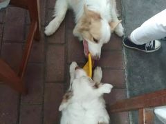 -豆舞咖啡(民乐路店)