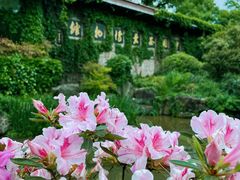 -中国茶叶博物馆(双峰馆区)