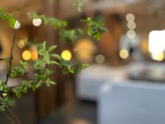 -瓦库茶馆17号(海汇港店)