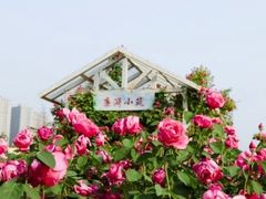 -太阳宫公园