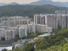 -福道