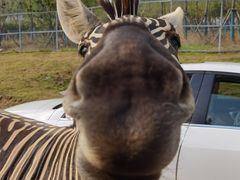 -南京金牛湖风景区