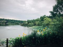 -上海怡沁园度假酒店