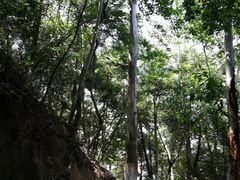 -火炉山森林公园