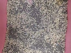 -纳吉亚猫专科动物诊疗中心(蒋宅口分院)