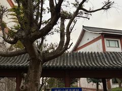 -随园餐厅自助早餐(祥生大酒店)