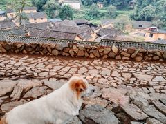 -杨家堂村