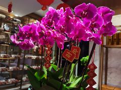 -一澜江宴·江景地标楚菜(江滩公园店)