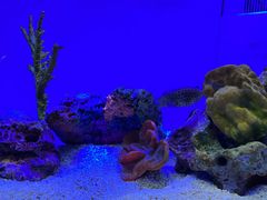 -上海海洋水族馆