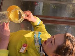 -大张烙馍村(泉山店)