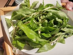 -十二舍·湯物素煮(江泰潤政店)