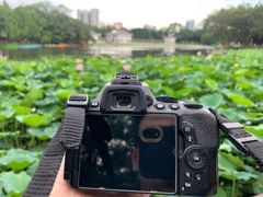 -荔湾湖公园
