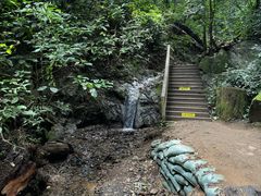 -西双版纳原始森林公园