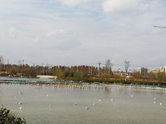 -呈贡滇池生态湿地公园