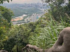 -梧桐山风景名胜区