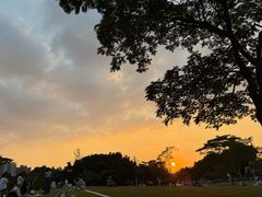 -二沙岛艺术公园