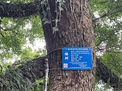 -桂林独秀峰王城景区