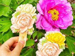 -洛阳市隋唐城遗址植物园
