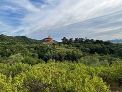 -磬锤峰森林公园