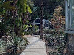 -深圳仙湖植物园
