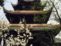 iphone_upload_pic-望江楼公园