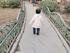 -文瀛公园