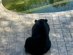 -攀枝花公园