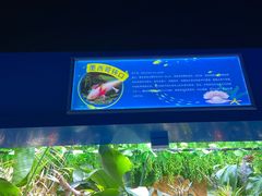 -常州海昌海洋探索馆