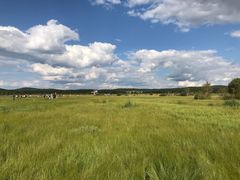 -塞罕坝国家级自然保护区