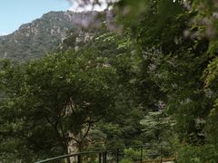 -京东石林峡风景区