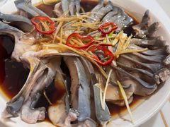 -煲来饱去冷水鱼