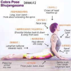 点击看大图 -FineYoga梵音瑜伽·普拉提
