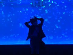 -多彩贵州城极地海洋世界