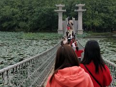 -东湖落雁景区