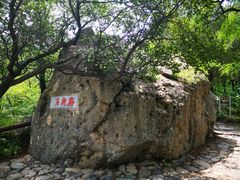 -阳台山自然风景区