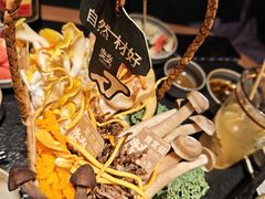 -大龙燚·旷野鲜火锅(广州首店)