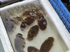 -霞涌市场海鲜摆卖区