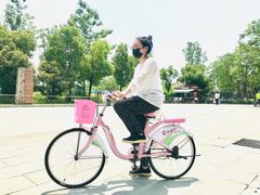 -东湖落雁景区