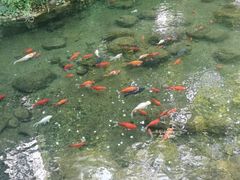 -海底捞火锅(明湖路店)