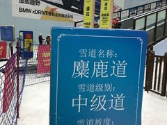 -哈尔滨热雪奇迹